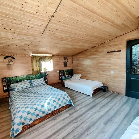 Habitación en casa particular Casa Amazonia Portugal - 12 Cernache (Coimbra)