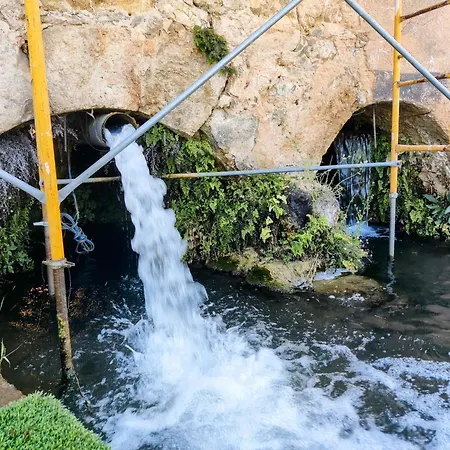 Familia 12-casa Amazonia Pt Rum i privatbostad Cernache (Coimbra)