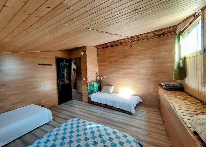 Familia 12-casa Amazonia Pt Rum i privatbostad Cernache (Coimbra)