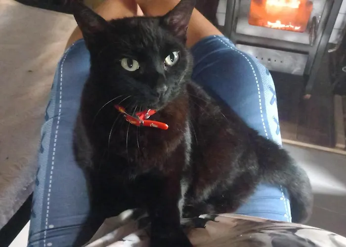 Familia 12-casa Amazonia Pt