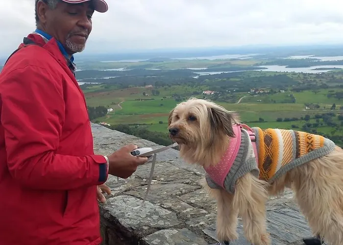 Rum i privatbostad Familia 12-casa Amazonia Pt Cernache (Coimbra)
