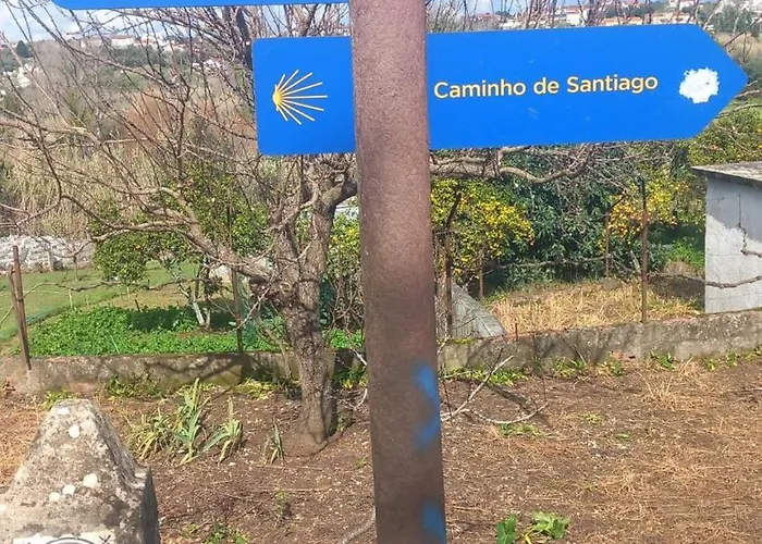 Familia 12-casa Amazonia Pt Cernache (Coimbra)