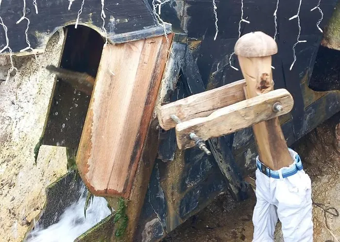 Familia 12-casa Amazonia Pt Rum i privatbostad Cernache (Coimbra)