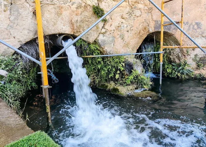 Familia 12-casa Amazonia Pt Rum i privatbostad Cernache (Coimbra)